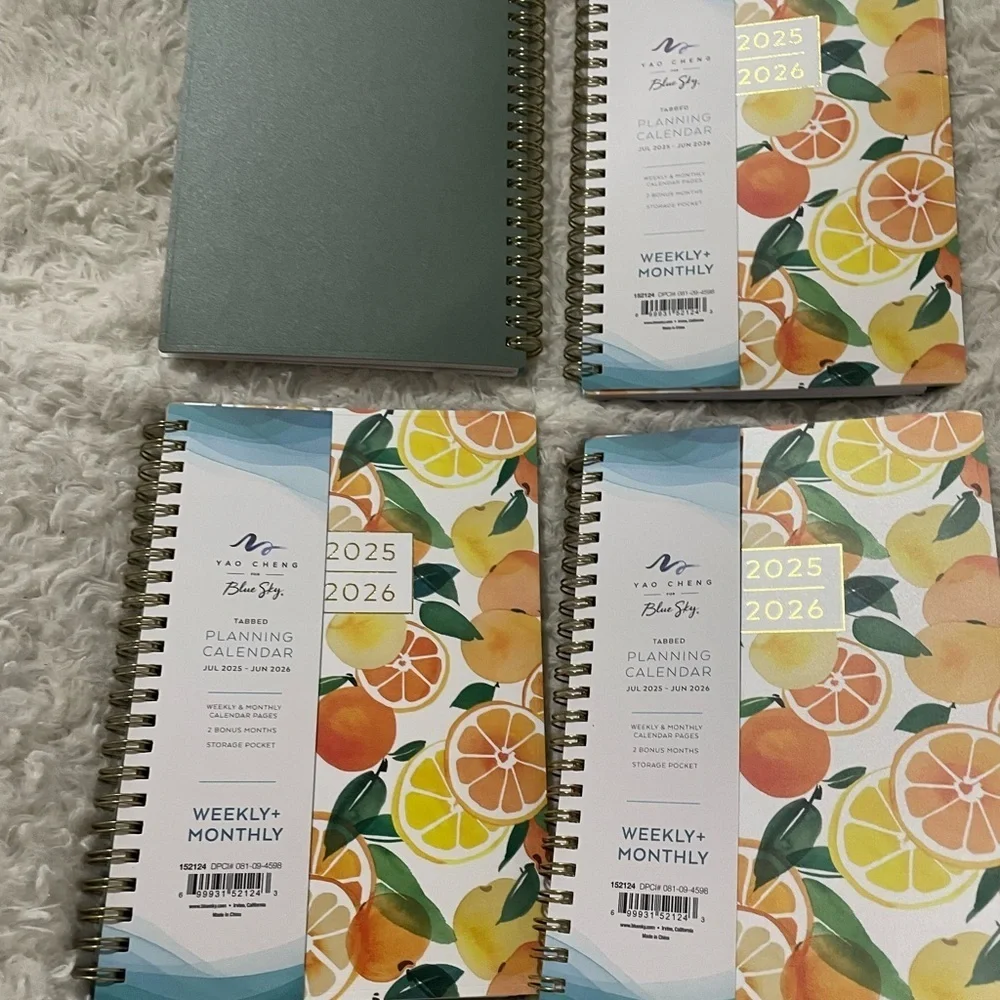 Blue Sky Citrus Burst Planner 2025-2026 bundle 4
